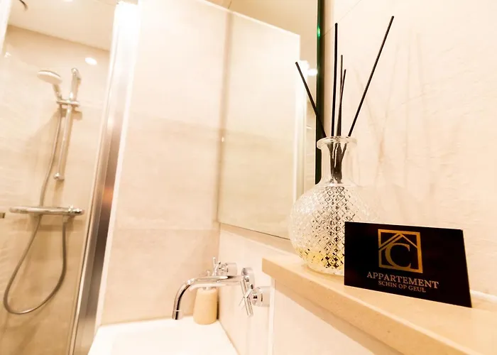 Апартаменты Appartement Schin Op Geul Схин-оп-Гёл